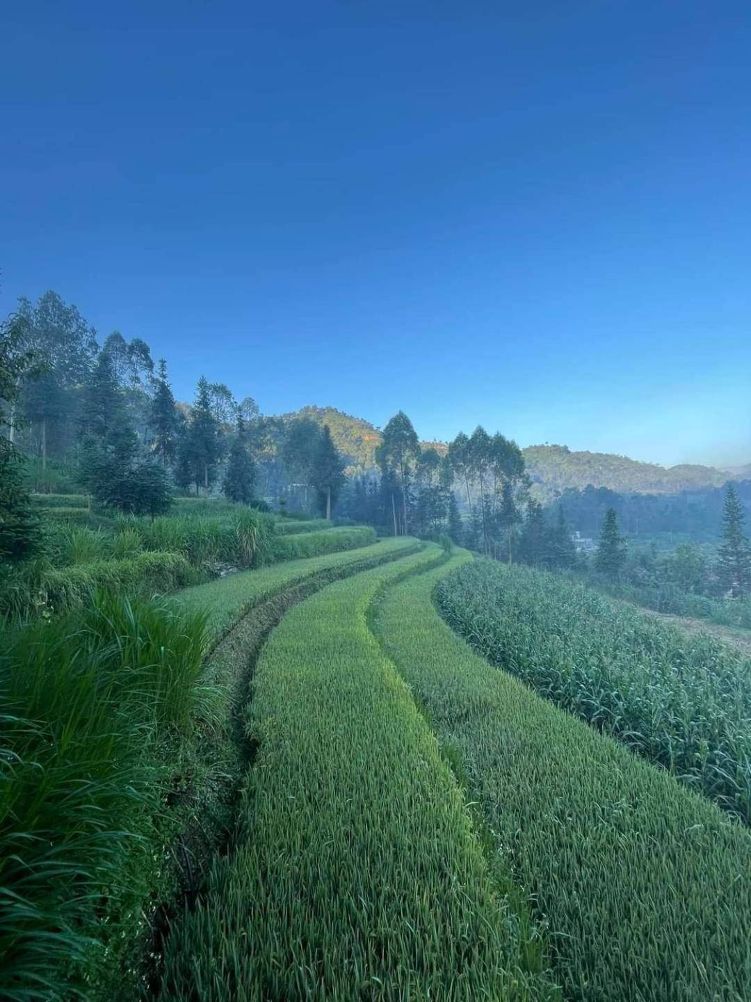 Dong Van Hmong Homestay Dong Van (Ha Giang) Exterior foto